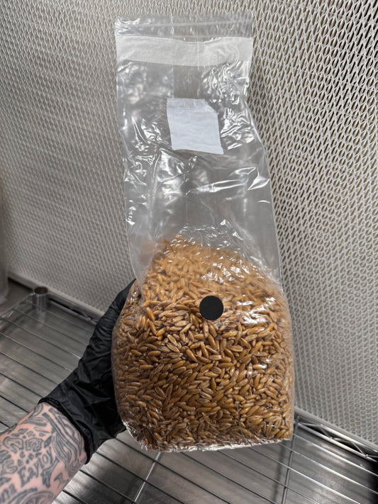 3 Pound Bag of Grains | S.T.M.