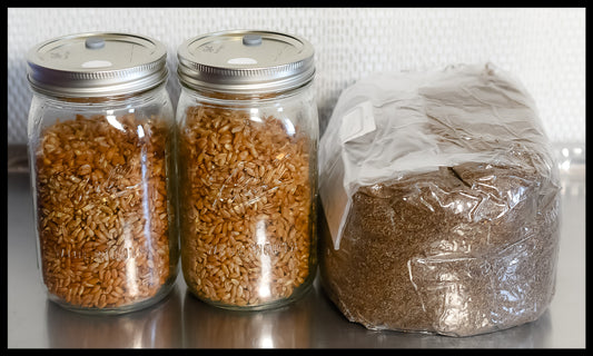 2 Jars of Grain and 5 Pounds Substrate | S.T.M.