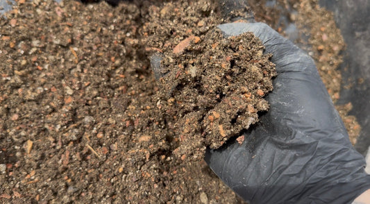 Cacti Transplanting Kit