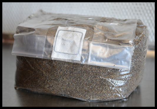 5 Pounds Pastureized Custom Blend Substrate (Manure Based) | S.T.M.