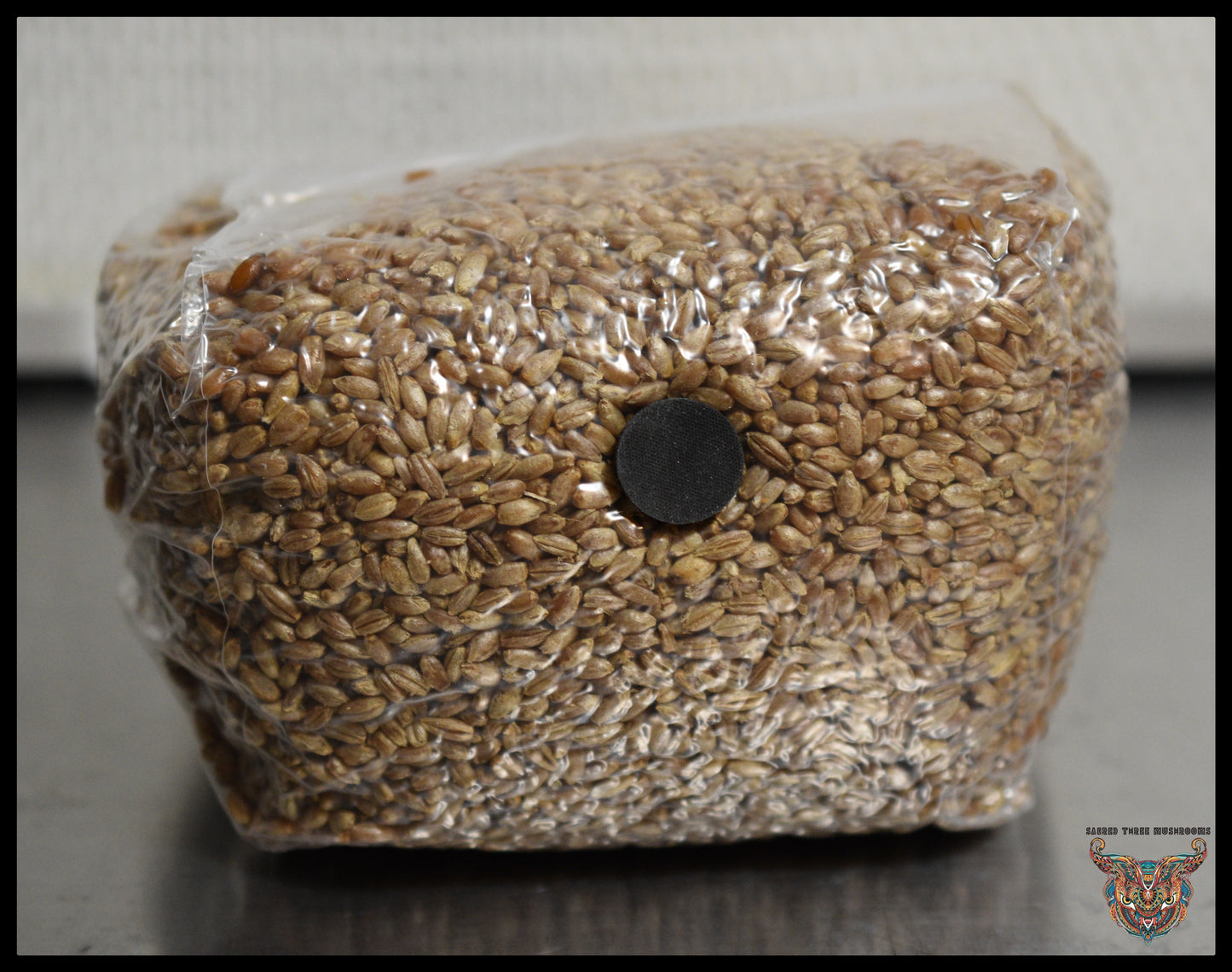 3 Pound Bag of Rye Berries | S.T.M.