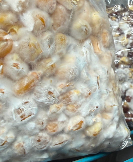Colonized 3LB Bag - Bluey Vuitton