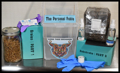 The Personal Fable | S.T.M.