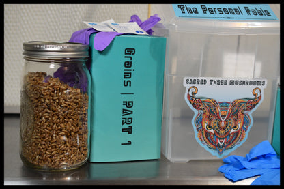 The Personal Fable | S.T.M.