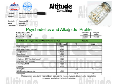 Psilocybe ochraceocentrata (formerly Psilocybe natalensis)